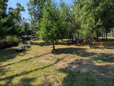 Updated Canada Creek Ranch Cabin on Three Lots Atlanta MI - image 41