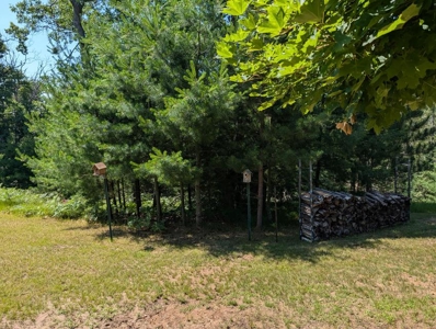 Updated Canada Creek Ranch Cabin on Three Lots Atlanta MI - image 49