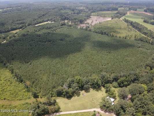 37 Acres for Sale in Morton, MS | Wooded Land