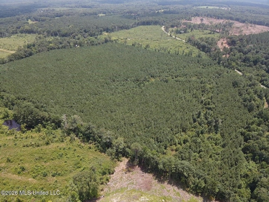 37 Acres for Sale in Morton, MS | Wooded Land