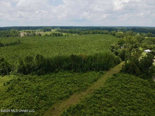 37 Acres for Sale in Morton, MS | Wooded Land