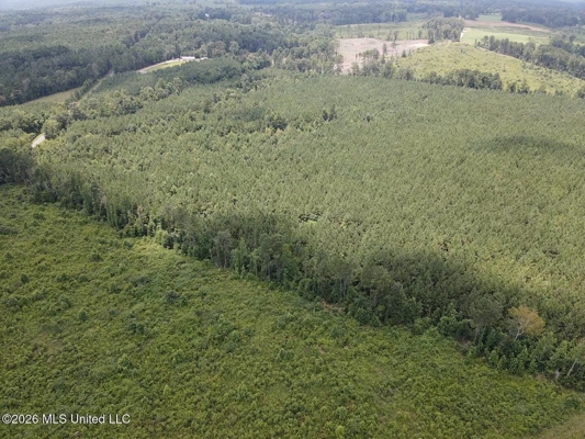 37 Acres for Sale in Morton, MS | Wooded Land