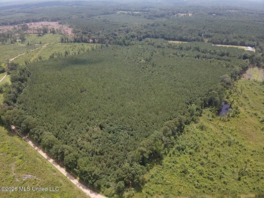 37 Acres for Sale in Morton, MS | Wooded Land