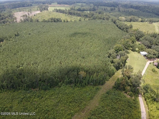 37 Acres for Sale in Morton, MS | Wooded Land