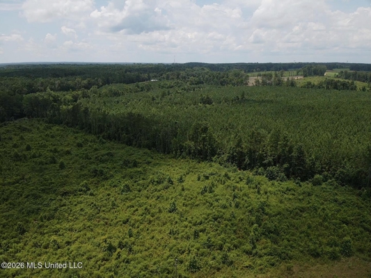 37 Acres for Sale in Morton, MS | Wooded Land