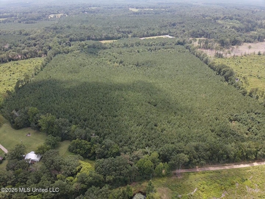 37 Acres for Sale in Morton, MS | Wooded Land