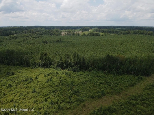 37 Acres for Sale in Morton, MS | Wooded Land