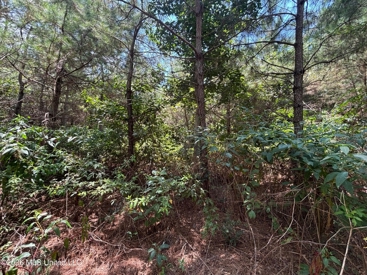 Listing 181