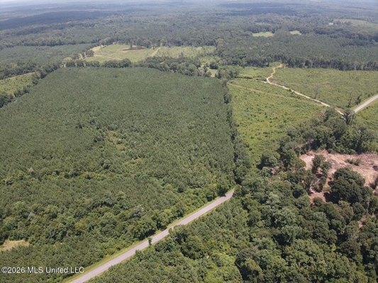37 Acres for Sale in Morton, MS | Wooded Land