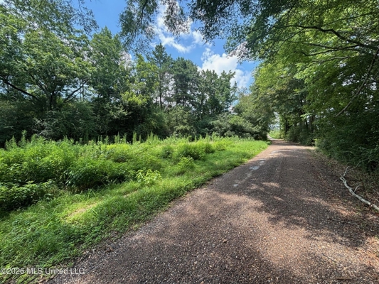37 Acres for Sale in Morton, MS | Wooded Land