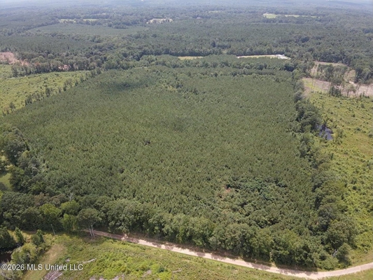 37 Acres for Sale in Morton, MS | Wooded Land