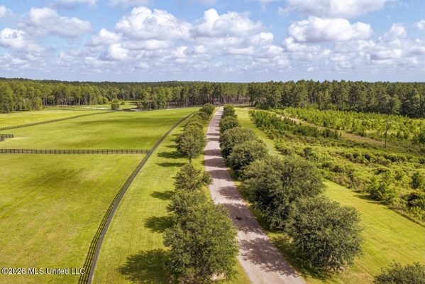 Big Woods Neighborhood Land for Sale Forrest Co MS