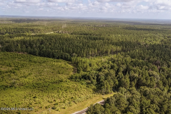 Big Woods Neighborhood Land for Sale Forrest Co MS
