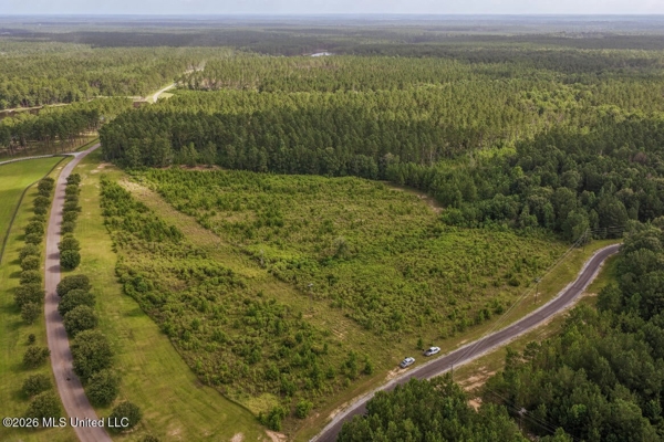 Big Woods Neighborhood Land for Sale Forrest Co MS