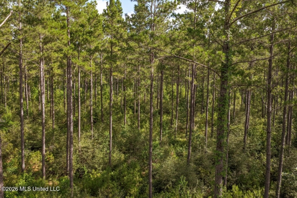 Big Woods Neighborhood Land for Sale Forrest Co MS