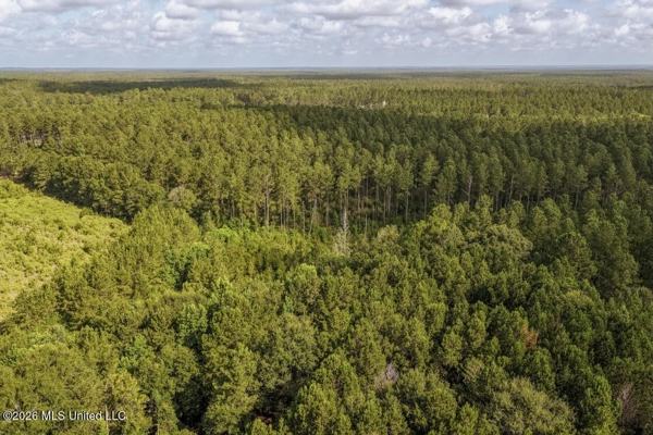 Big Woods Neighborhood Land for Sale Forrest Co MS