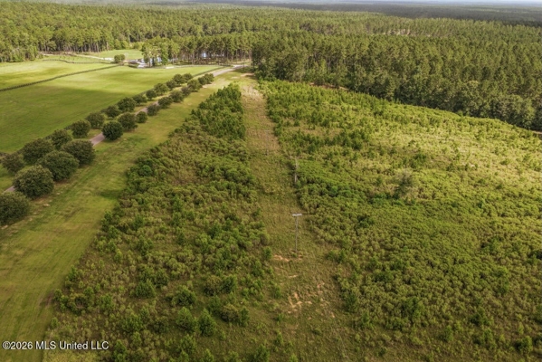 Big Woods Neighborhood Land for Sale Forrest Co MS