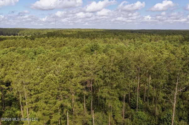Big Woods Neighborhood Land for Sale Forrest Co MS