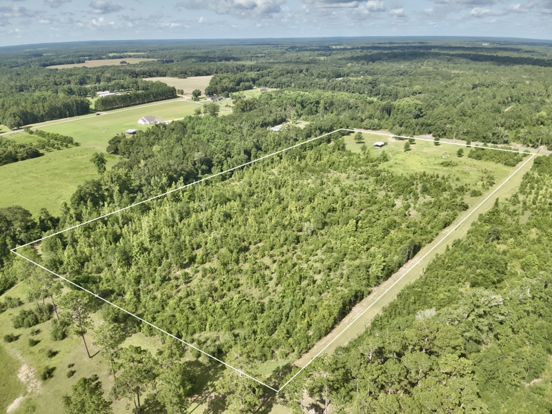 No Caption