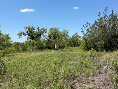 Blanket TX Land with Cabin Shell, Utilities and Hunting Setup - image 34