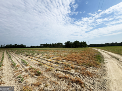 Perfect blend of recreation, investment, & country living - image 16