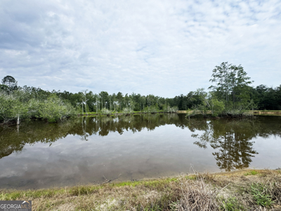 Perfect blend of recreation, investment, & country living - image 12