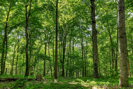 Escape to the beauty of the countryside with this exceptional pro - image 34