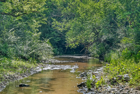 Escape to the beauty of the countryside with this exceptional pro - image 40