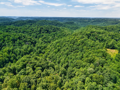 Escape to the beauty of the countryside with this exceptional pro - image 45