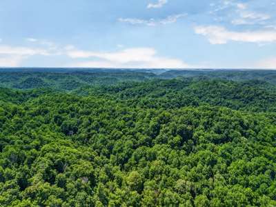 Escape to the beauty of the countryside with this exceptional pro - image 48