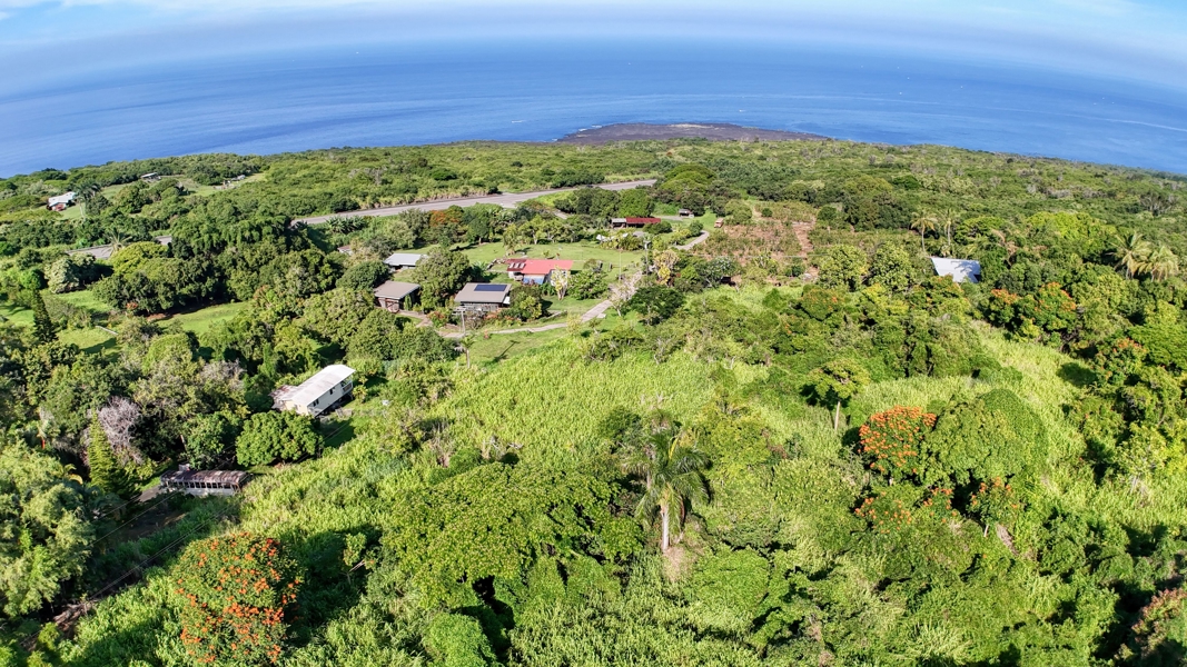 No Caption