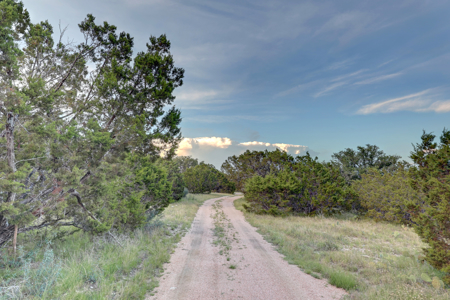 Dominion 5 ranch hunting property. - image 29