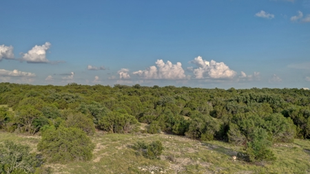 Dominion 5 ranch hunting property. - image 47