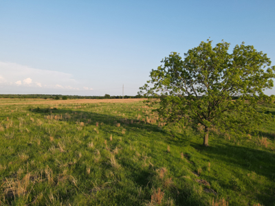 Ardmore Oklahoma Land for Sale Development Property Investment - image 19