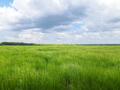 Ardmore OK Carter County Land for Sale Development Investment - image 2