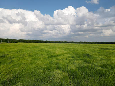 Ardmore OK Carter County Land for Sale Development Investment - image 14