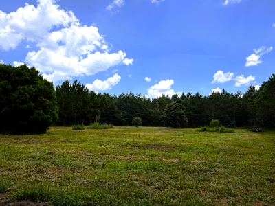 15‑Acre Pine Tree Retreat- Cleared Homesite & Income Potential - image 8
