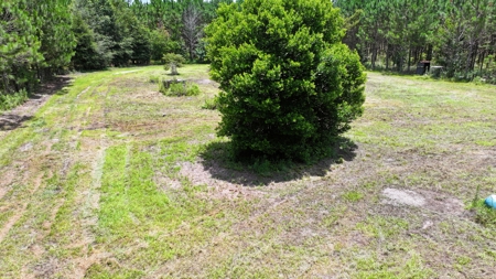 15‑Acre Pine Tree Retreat- Cleared Homesite & Income Potential - image 6