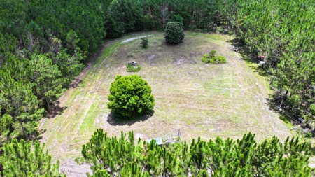 15‑Acre Pine Tree Retreat- Cleared Homesite & Income Potential - image 22