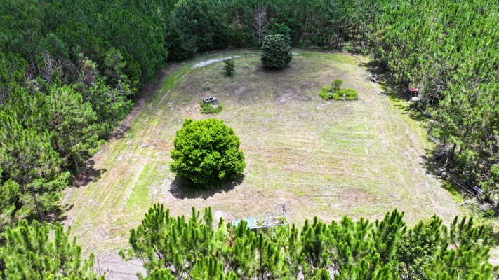 15‑Acre Pine Tree Retreat- Cleared Homesite & Income Potential
