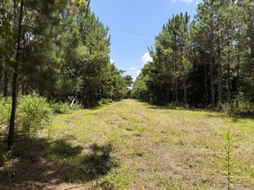 Listing 110