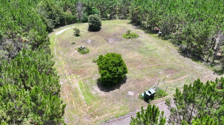 15‑Acre Pine Tree Retreat- Cleared Homesite & Income Potential - image 1