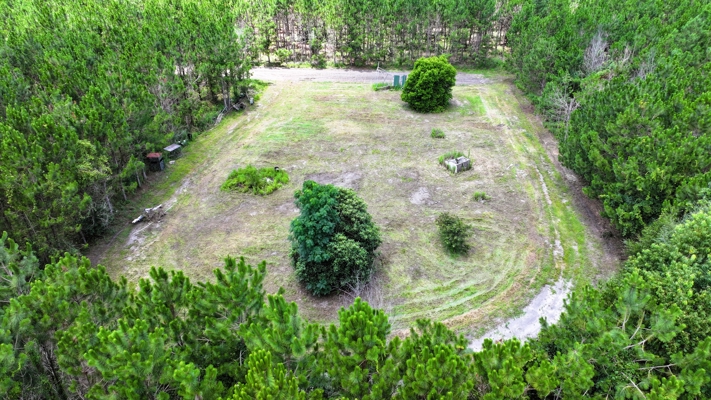 15‑Acre Pine Tree Retreat- Cleared Homesite & Income Potential