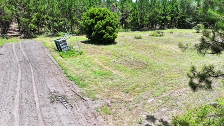 15‑Acre Pine Tree Retreat- Cleared Homesite & Income Potential - image 2