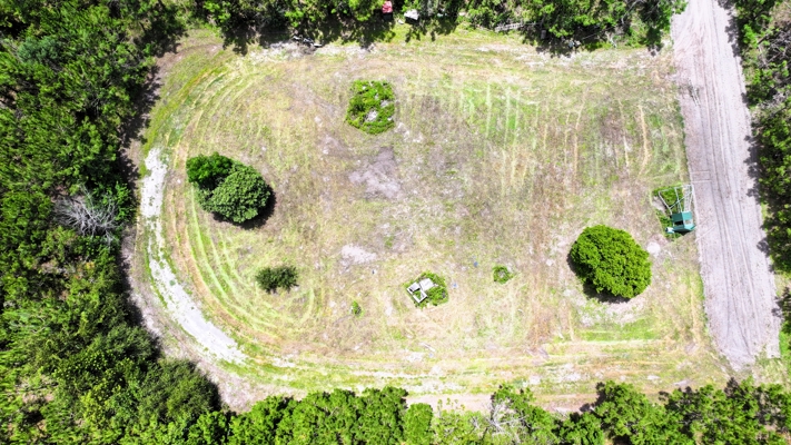 15‑Acre Pine Tree Retreat- Cleared Homesite & Income Potential