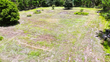 15‑Acre Pine Tree Retreat- Cleared Homesite & Income Potential - image 15
