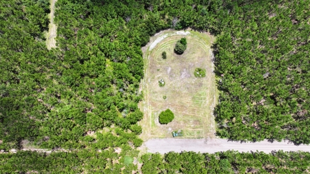 15‑Acre Pine Tree Retreat- Cleared Homesite & Income Potential - image 12
