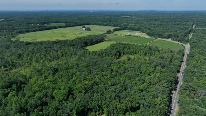 38.85-Acre Hunting & Recreational Property for Sale in Wood Cty