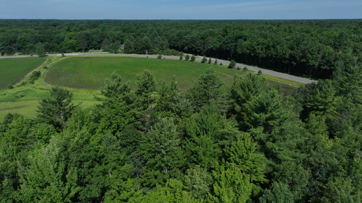 38.85-Acre Hunting & Recreational Property for Sale in Wood Cty
