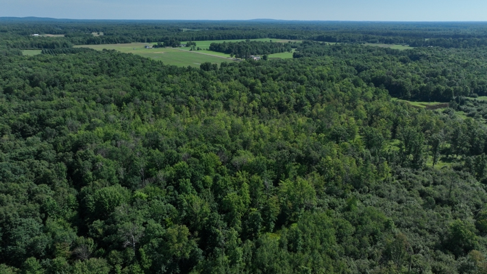 38.85-Acre Hunting & Recreational Property for Sale in Wood Cty